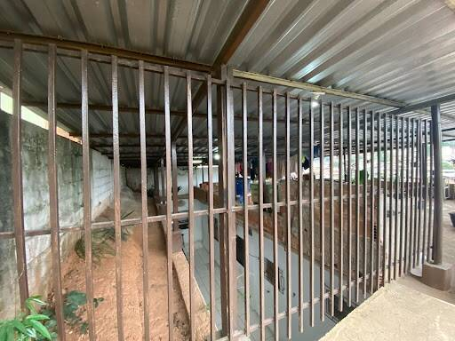 Casa, 2 quartos, 350 m² - Foto 23