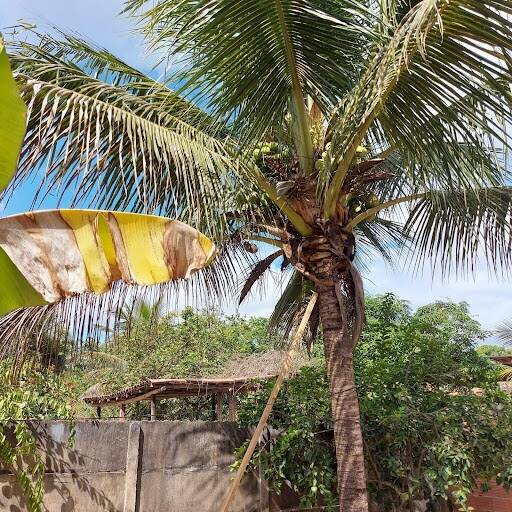 Casa, 5 quartos - Foto 2