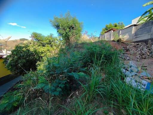 Terreno, 360 m² - Foto 3