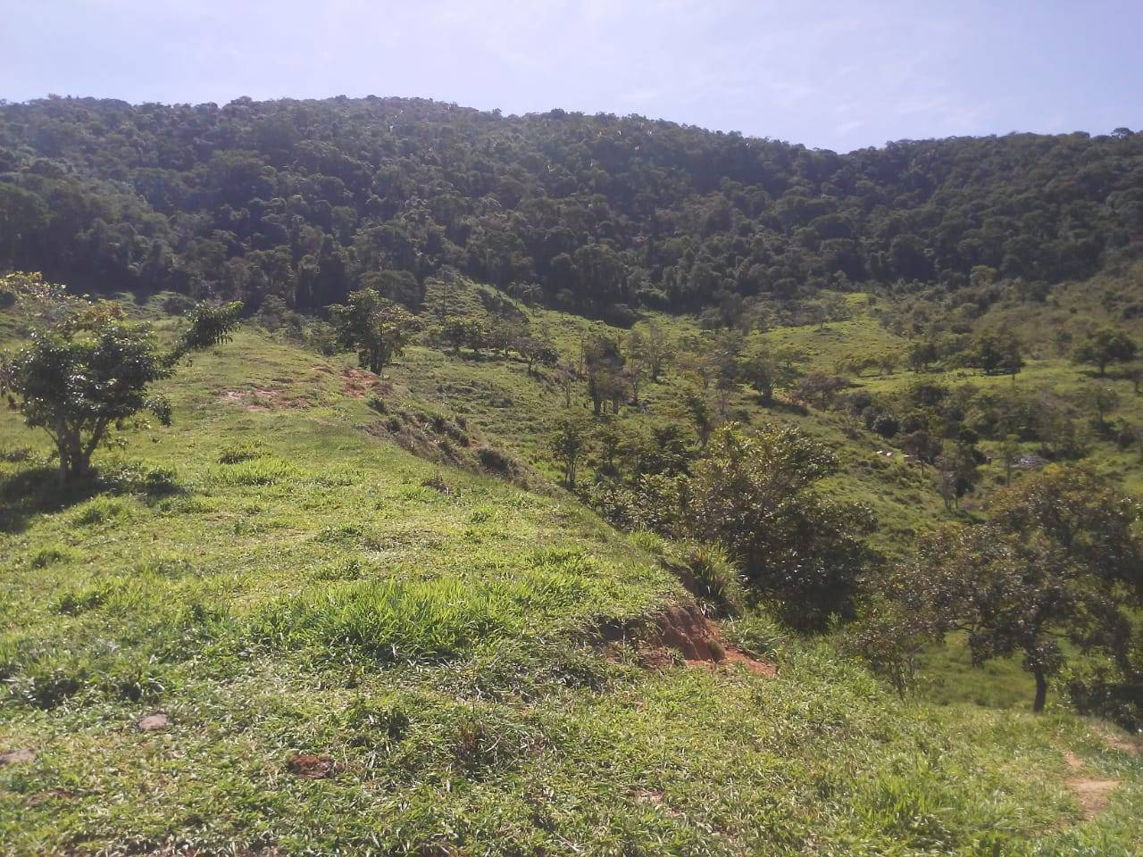 Terreno, 50 m² - Foto 1