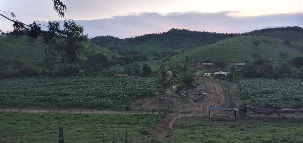 Fazenda, 176 m² - Foto 2