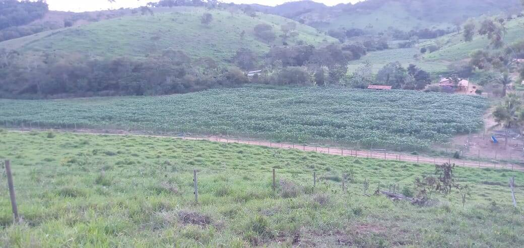 Fazenda, 176 m² - Foto 3