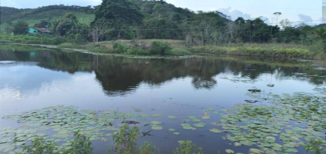 Fazenda, 176 m² - Foto 4