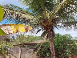 #1277 - Casa para Venda em Belo Oriente - MG - 2