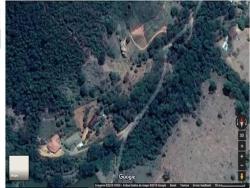 Venda em Primavera - Timóteo