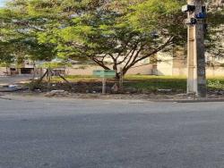 Venda em Cidade Nova - Santana do Paraíso