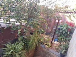 Casa para Venda em Timóteo - 4