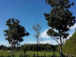 #2948 - Terreno para Venda em Pingo-d`Água - MG - 2