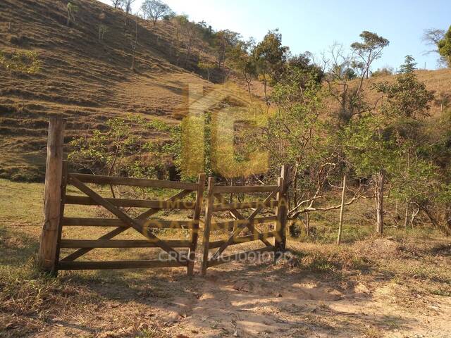 #809 - Fazenda para Venda em Marliéria - MG - 3