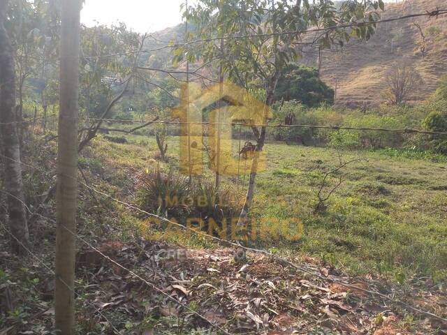 Fazenda para Venda em Marliéria - 4