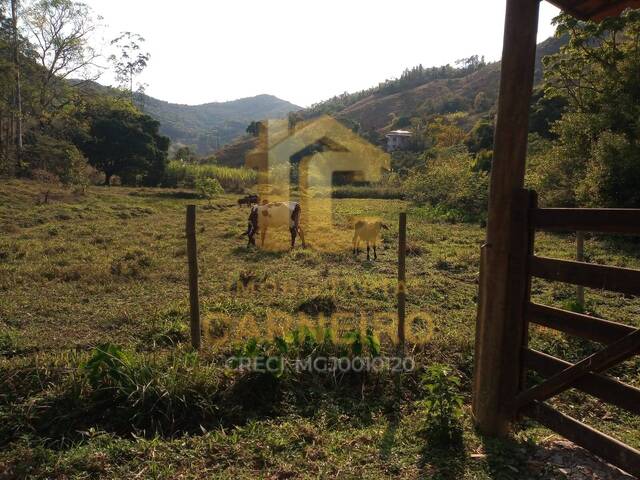 Fazenda para Venda em Marliéria - 5
