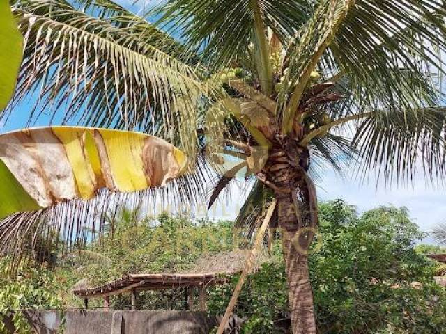 Casa para Venda em Belo Oriente - 2