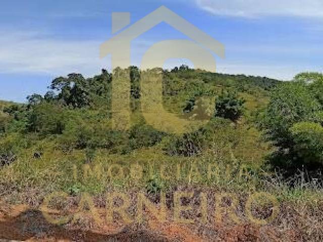 Terreno para Venda em Iapu - 4