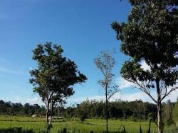 #2948 - Terreno para Venda em Pingo-d`Água - MG - 3