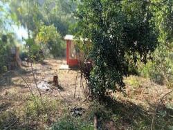 Chácara para Venda em Antônio Dias - 4