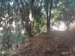 Terreno para Venda em Coronel Fabriciano - 2