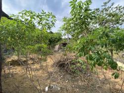 #3653 - Terreno para Venda em Coronel Fabriciano - MG - 3