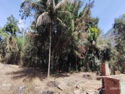 #4074 - Área para Venda em Timóteo - MG - 3