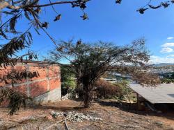 #3920 - Área para Venda em Coronel Fabriciano - MG - 3