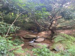 #4083 - Chácara para Venda em Santana do Paraíso - MG - 3