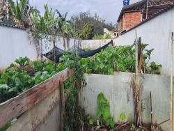 #4085 - Área para Venda em Marliéria - MG - 3