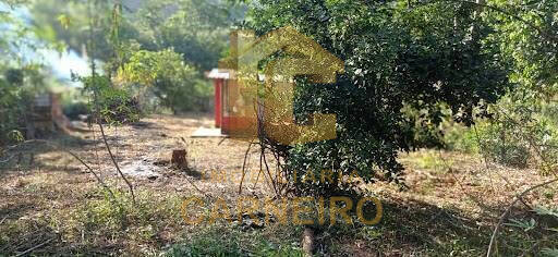 Chácara, 2 quartos, 1980 m² - Foto 4