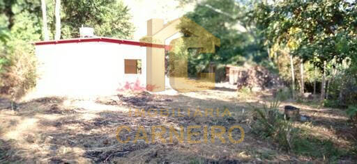 Chácara, 2 quartos, 1980 m² - Foto 9