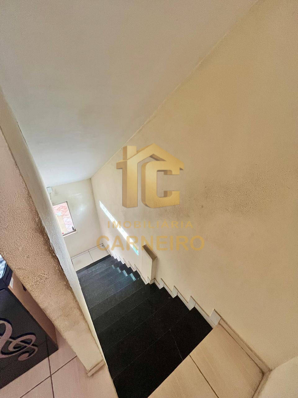 Casa, 5 quartos, 260 m² - Foto 14
