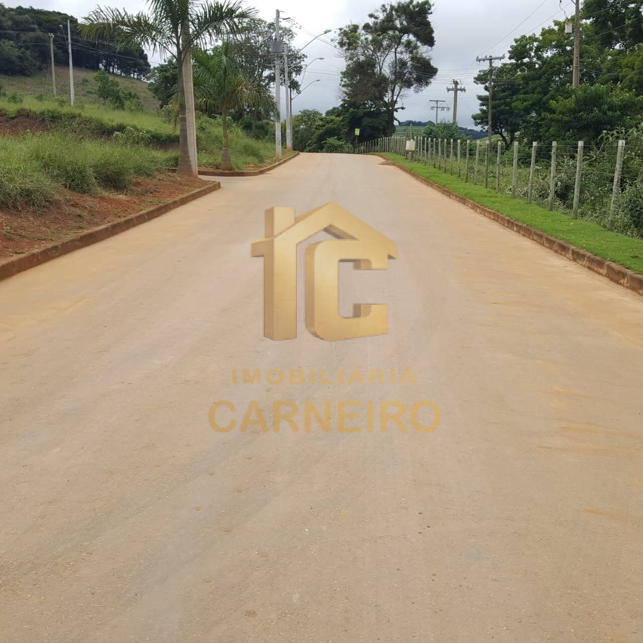 Terreno - Foto 6