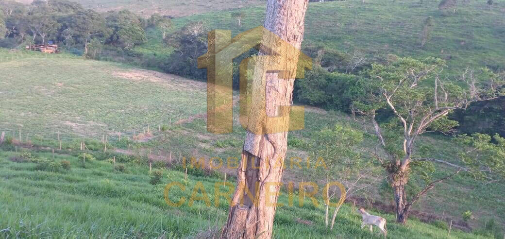 Fazenda, 176 m² - Foto 30