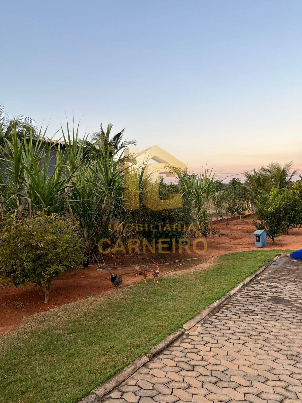 Chácara, 3 quartos, 1500 m² - Foto 4