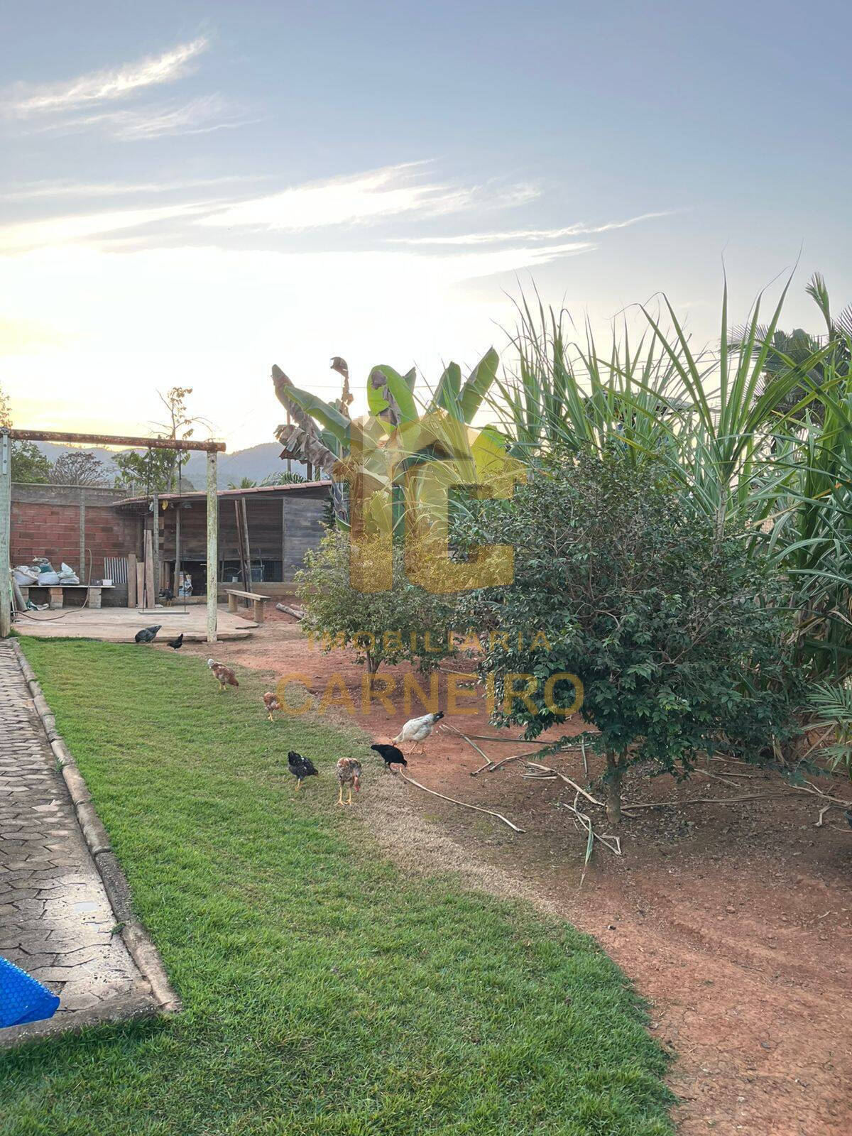 Chácara, 3 quartos, 1500 m² - Foto 5