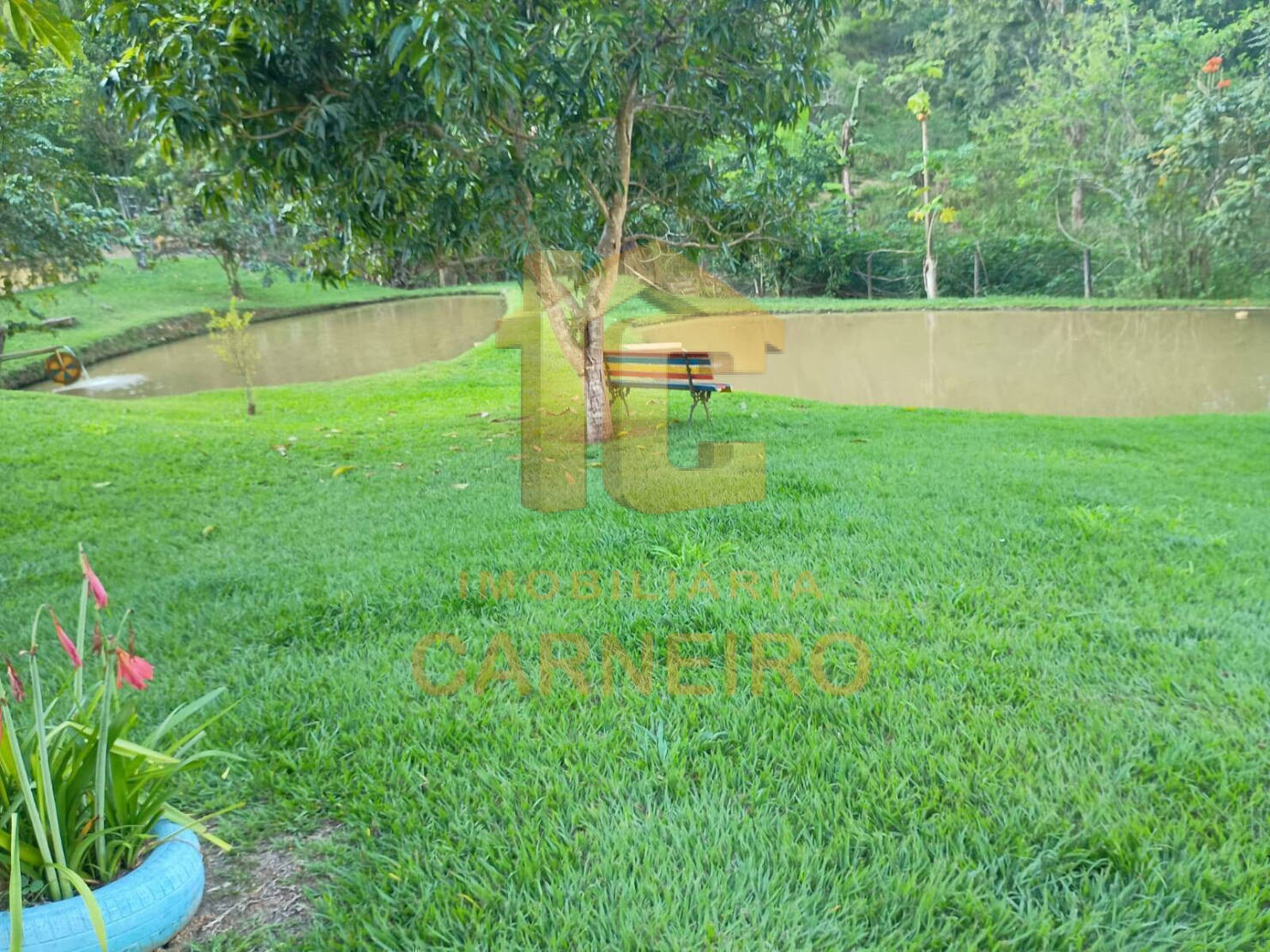 Fazenda, 67 m² - Foto 8